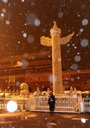 北京瑞雪旅游攻略，冰雪世界的首都之旅盛宴