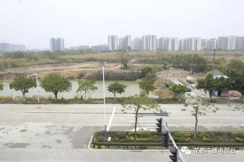 珠江新城儿童被害案深度剖析与反思
