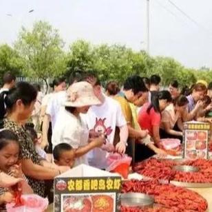 信阳快递公司排名揭秘，深度对比与解析