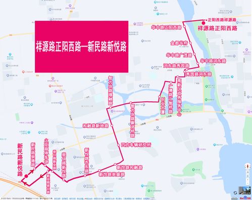 东海岛公交攻略大全，最新路线解析，带你轻松掌握全岛公共交通网络