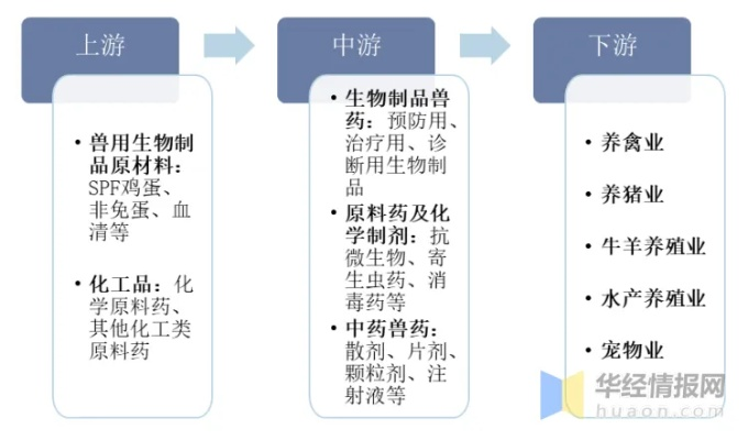 中国兽药行业格局巨变，十强公司排名揭晓，深度解析发展趋势