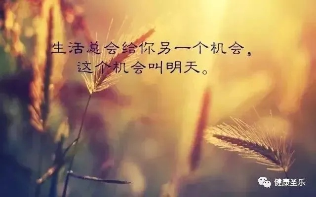励志语录及人生感悟，心灵的触动与航标指引