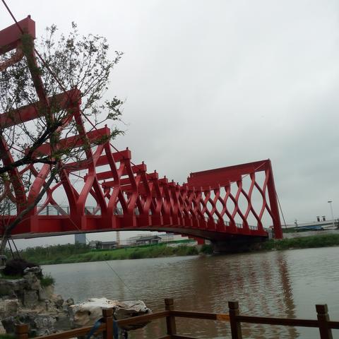 扬州市运河北岸瞩目新闻，城市发展与人文魅力同步前行