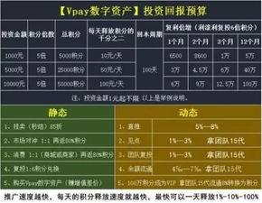 派币今日交易视频大揭秘，市场走势深度分析与交易策略探讨