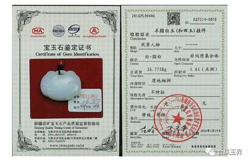 瑜伽教练证权威排名TOP10，认证与教学质量并重榜单揭晓！