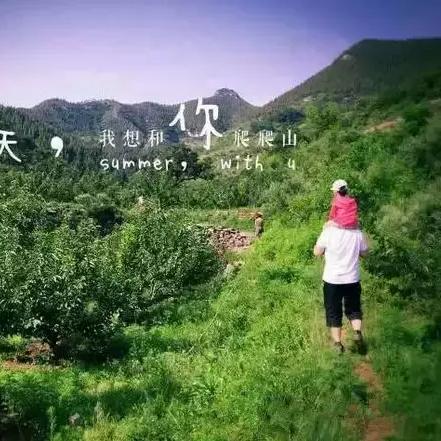 小路房车探险之旅，揭秘未知的绝美风景攻略
