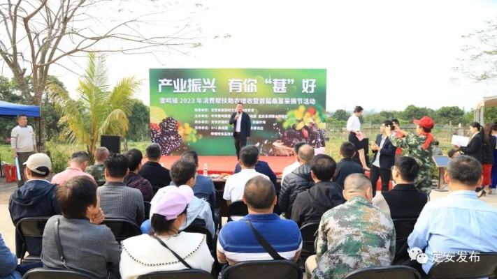 甘肃定安新闻聚焦地方动态，传递发展强音，最新头条号热议热议热议！