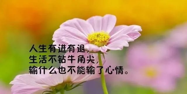 恋爱搞笑励志语录，笑中带爱，温情照亮人生路