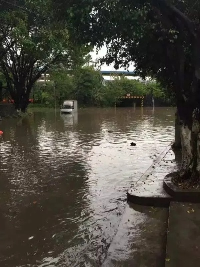 青塘暴雨视频集锦，最新播放与天气背景揭秘
