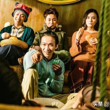 宠物公司排名解析，避雷指南助你明智选择