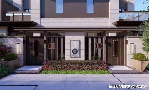 安阳新闻快报，最新消息综述