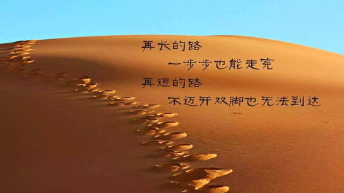 励志前行，再见2017，照亮前行之路的语录