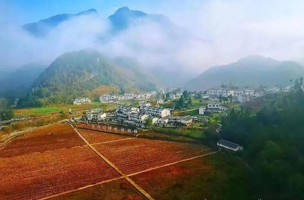 万源山坪新闻揭秘，独特魅力展现，神秘面纱下的故事