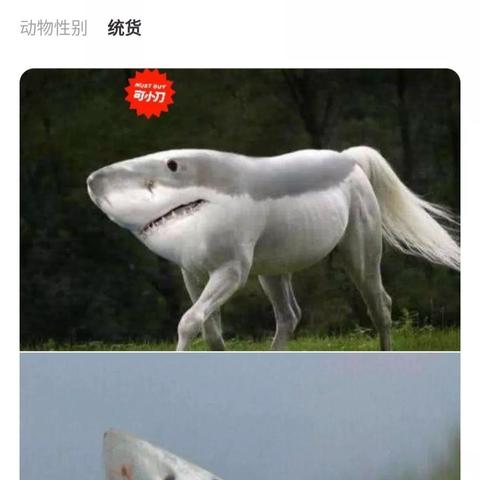 咸鱼抢马攻略，最新指南助你轻松获胜！