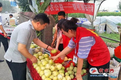 忻州碧桂园最新动态揭秘，今日消息一览