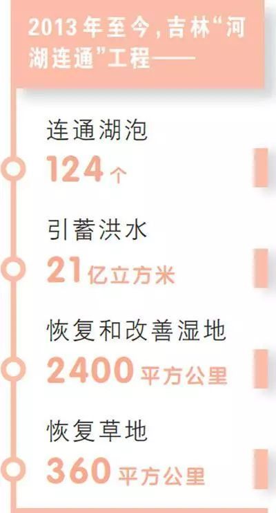 独家解析，2019阳春新闻头条一网打尽