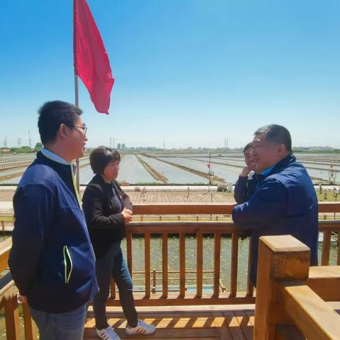 天津小站最新发展动态，城市蓬勃活力一览无余