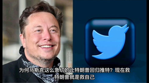哈门新闻揭秘，热点事件背后的故事深度解析