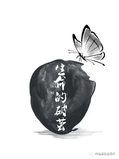 破茧重生，堕落中的励志力量与成长之路