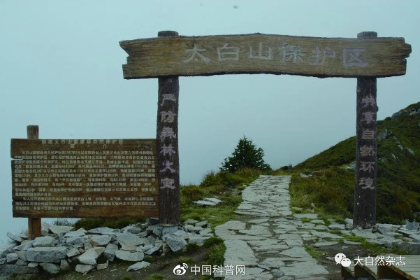 太白秘境探索攻略，揭秘神秘之旅