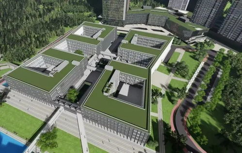 揭秘亳州沙土副镇长最新动态，重磅消息曝光！