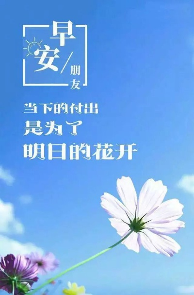 考研励志早安语录，唤醒每日激情，点燃希望之光