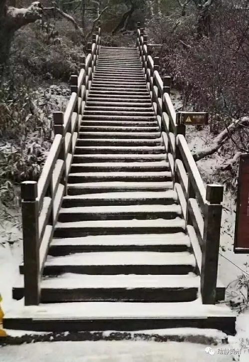 梵净山最新动态，今日天气及未来展望揭秘