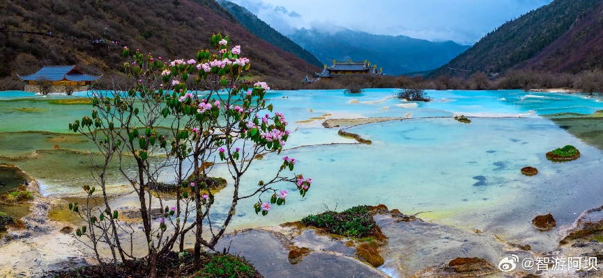 揭秘黄龙景区最新动态，揭开神秘面纱，一览新闻资讯