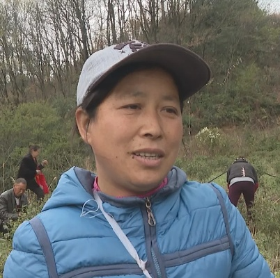 剑门县茶山镇最新热点新闻速递
