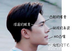 杨洋英文励志语录，星光闪耀的励志之旅