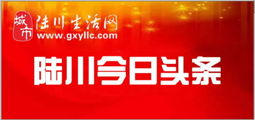 广西梧州新闻热点揭秘，不容错过的头条资讯