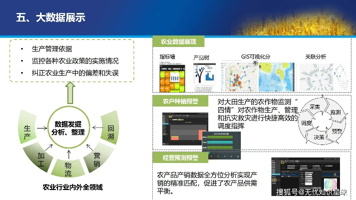 农业GIS公司排名与影响力深度解析，行业洞察报告