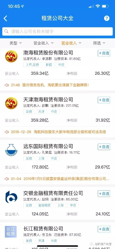 深度解析，融资租赁公司排名及其意义
