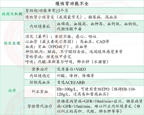 慢性肾功能不全，全面解析与应对策略