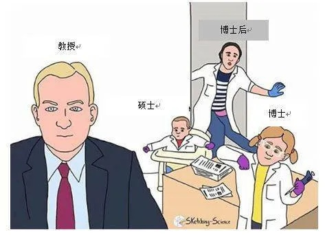 独家解析，博士漫画剧情大全，最新深度解读！