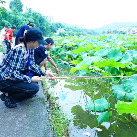 江安文旅局长最新动态，引领江安文旅开启新篇章