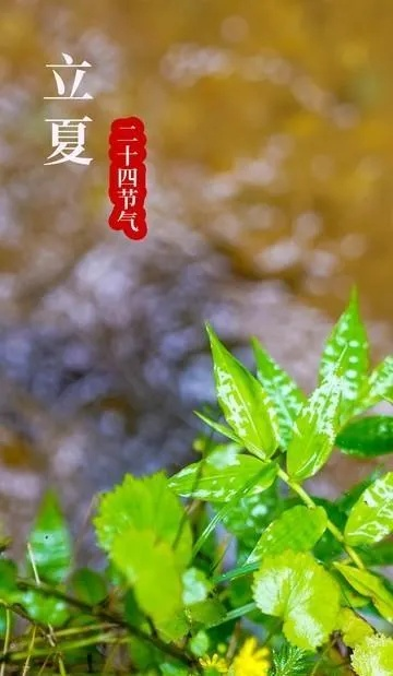 2025年6月12日 第35页