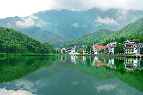 揭秘安吉之美，绝美旅游攻略大全
