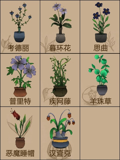 园艺花卉TOP10榜单，美丽植物精选，吸引你的目光