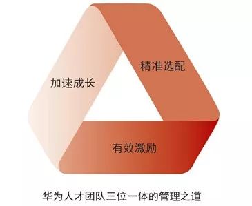 华为今日最新招聘信息大揭秘！