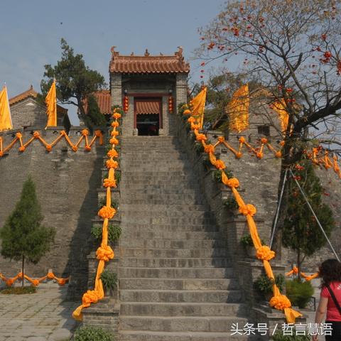 都兴新闻头条，时事热点与社会发展全聚焦