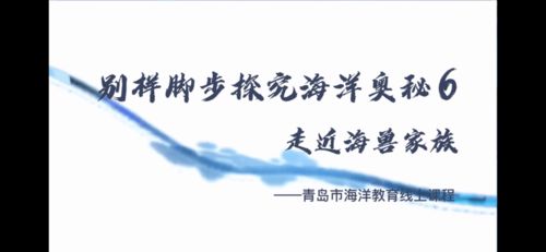 寸草春辉，启程探索与发现的奥秘——百度呈现