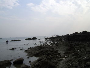 北海站旅游攻略指南，轻松畅游北海，最新指南助你探索美景！