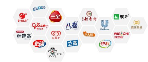 瓦联网公司排行榜，揭秘行业巨头，展望未来发展新趋势