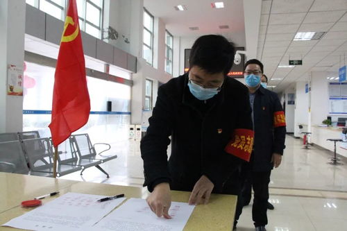 新乐疫情最新消息，疫情动态、防控进展一网打尽