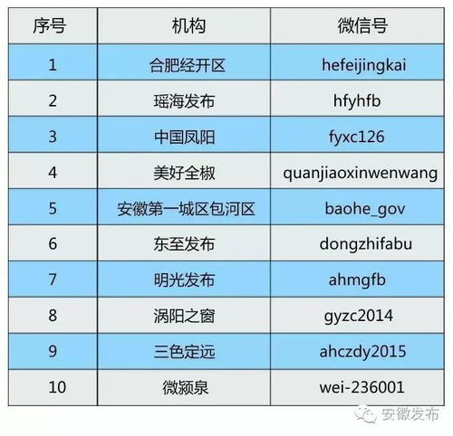 内江配饰公司权威排名榜，行业佼佼者大揭秘！