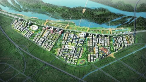 东兴区西林镇最新热点新闻聚焦