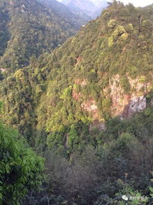 澜沧巴山探险之旅，秘境探索与自然之美的完美融合攻略
