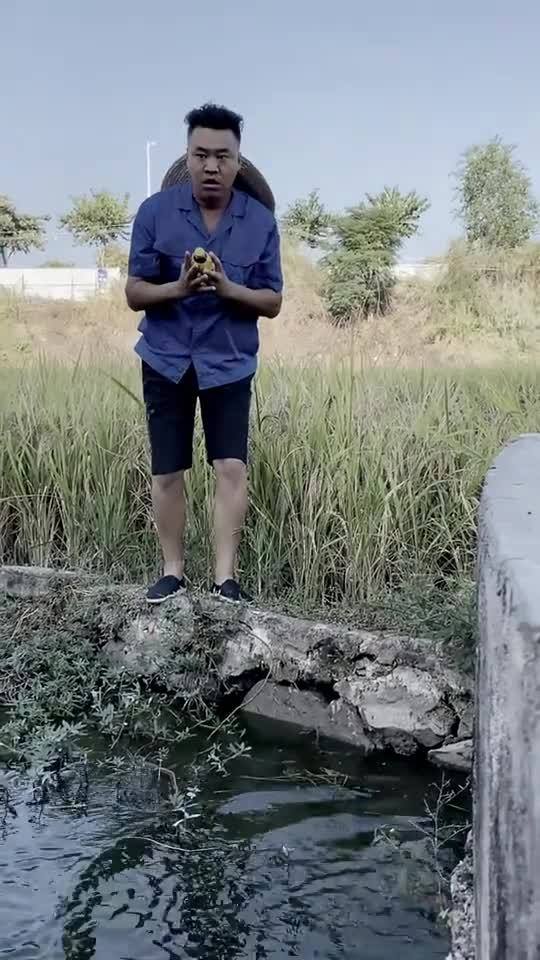 王哥股票解析视频大全，最新投资者指南，洞悉股市动态！