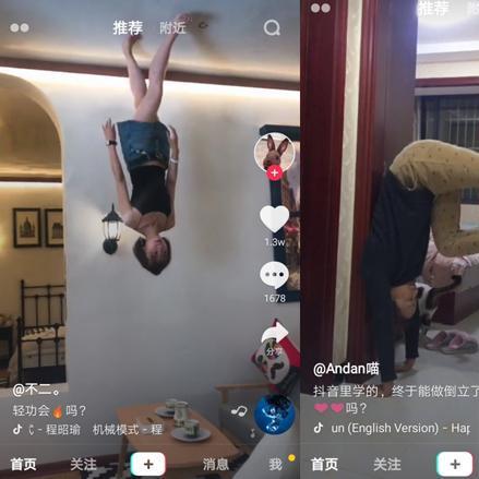 全球雪松影响力排名揭秘，引领时尚潮流的世界级地位